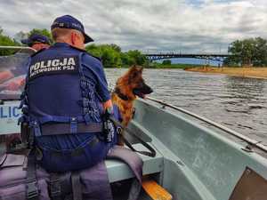 Pies służbowy ze swoim przewodnikiem pływa łódką