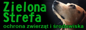 Znęcanie się nad zwierzętami. Ochrona zagrożonych gatunków