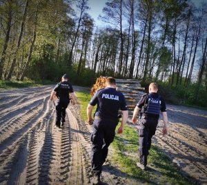 Trzech policjantów wchodzących do lasu