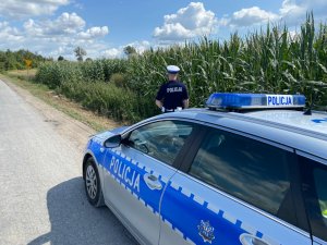Oznakowany radiowóz i stojący przy nim policjant. W tle pole kukurydzy.