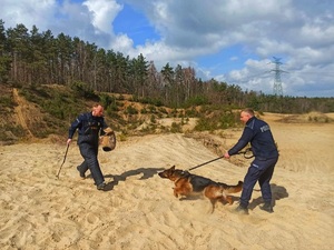 Dwóch umundurowanych policjantów na wydmach w trakcie szkolenia psów służbowych.