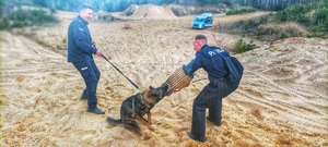 Policjanci na wydmach w trakcie szkolenia psów służbowych. Policjant pozoruje atak.