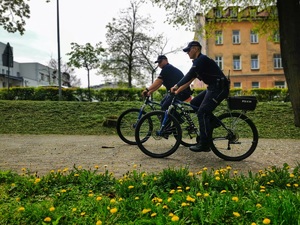 Dwóch policjantów na rowerach jedzie parkiem