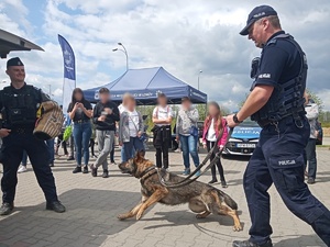 Dwóch policjantów w trakcie pokazu policyjnego psa.