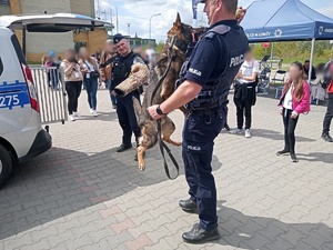 Dwóch policjantów w trakcie pokazu policyjnego psa.