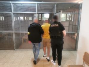 Dwóch policjantów w ubraniach cywilnych, jeden w kamizelce, a drugi z opaską na ręku z napisem policja prowadzą podejrzanego, który ma założone kajdanki zespolone - na ręce i nogi.