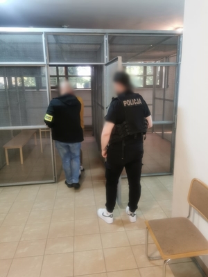 Dwóch policjantów w ubraniach cywilnych, jeden w kamizelce, a drugi z opaską na ręku z napisem policja prowadzą podejrzanego, który ma założone kajdanki zespolone - na ręce i nogi.