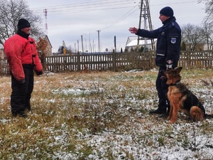 Policjanci na działce szkolą psy służbowe.