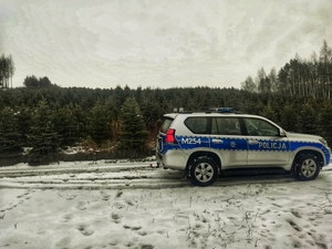 Policjanci sprawdzają tereny zalesione pod kątem kradzieży choinek