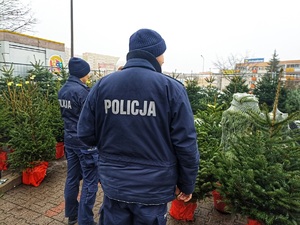 policjanci sprawdzają miejsce sprzedaży choinek