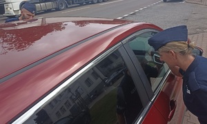 policjant zagląda do samochodu