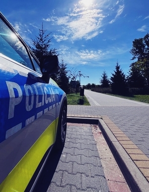 radiowóz stojący przy wjeździe do parku