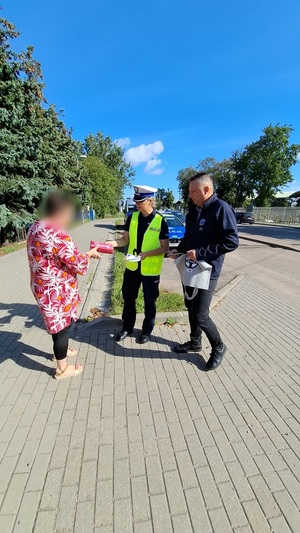 działania policjantów w ramach kampanii ROADPOL Safety days