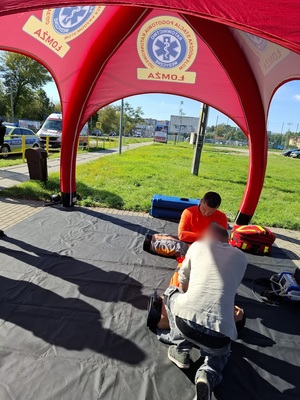 działania policjantów w ramach kampanii ROADPOL Safety days