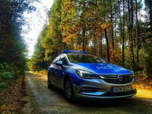 radiowóz wśród liści