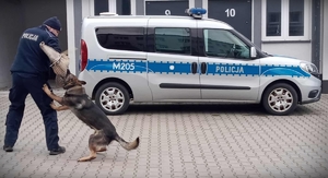 Młodzież z wizytą u policjantów