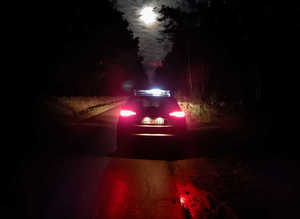 radiowóz w lesie nocą