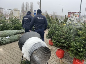 policjanci sprawdzają punkt sprzedaży choinek