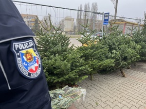 policjanci sprawdzają punkt sprzedaży choinek