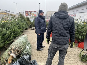 policjanci sprawdzają punkt sprzedaży choinek