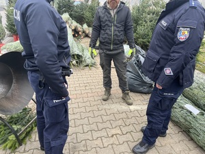 policjanci sprawdzają punkt sprzedaży choinek
