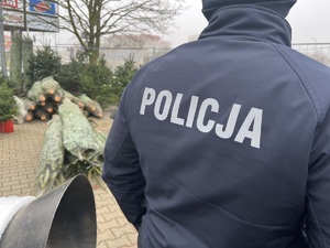 policjanci sprawdzają punkt sprzedaży choinek