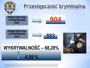 slajd - przestępczość kryminalna