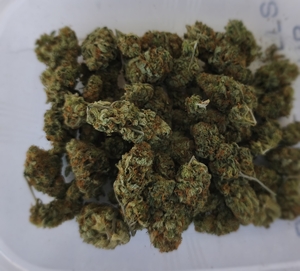 zabezpieczone narkotyki