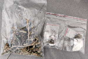 zabezpieczone narkotyki