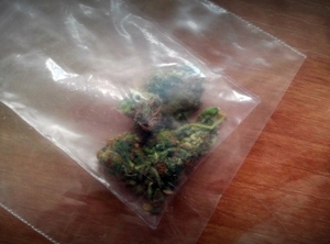 marihuana w woreczku strunowym