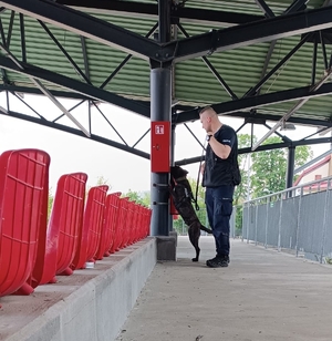 szkolenie psów służbowych na stadionie