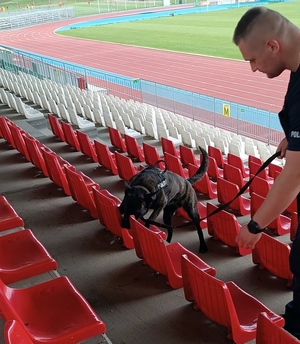 szkolenie psów służbowych na stadionie
