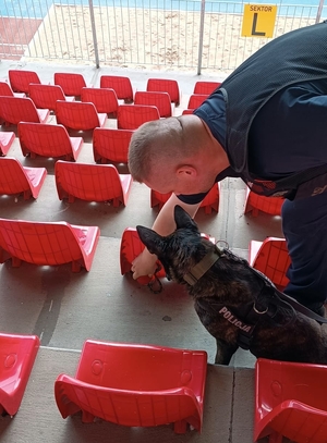 szkolenie psów służbowych na stadionie