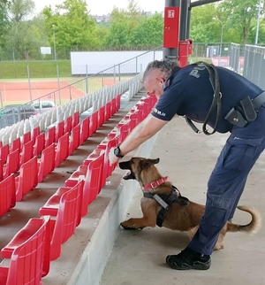 szkolenie psów służbowych na stadionie