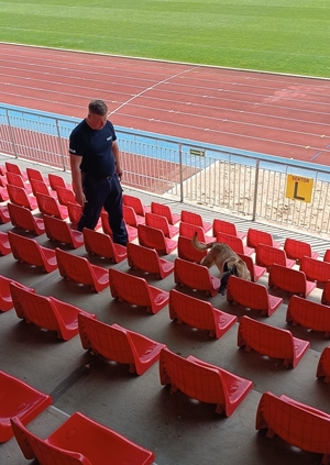 szkolenie psów służbowych na stadionie